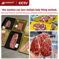 Machine d'emballage sous vide électrique commerciale pour steak, fruits de mer, bœuf, aliments, sachets en aluminium, textiles, emballage