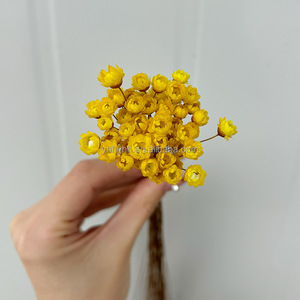Stella brasiliana fiori secchi conservati fiori piccola montagna margherita corona popolare decorazioni di natale e ringraziamento - Product Image 6