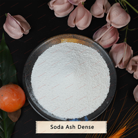 Cendres de soude Densh 99,2 % min. Qualité industrielle CAS 497-19-8 Pour la fabrication de détergents et de savons Sacs de 40 kg
