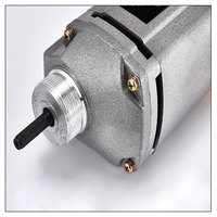 Elektrischer Beton vibrator 800w tragbar 220V
