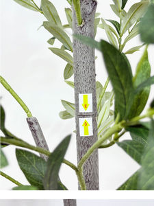 Árbol de <span class=keywords><strong>Olivo</strong></span> Artificial en Maceta, Bonsái de Plástico de 180 cm, Simulación, Suministro Directo de Fábrica, Decoración para el Hogar y el Jardín - Product Image 6