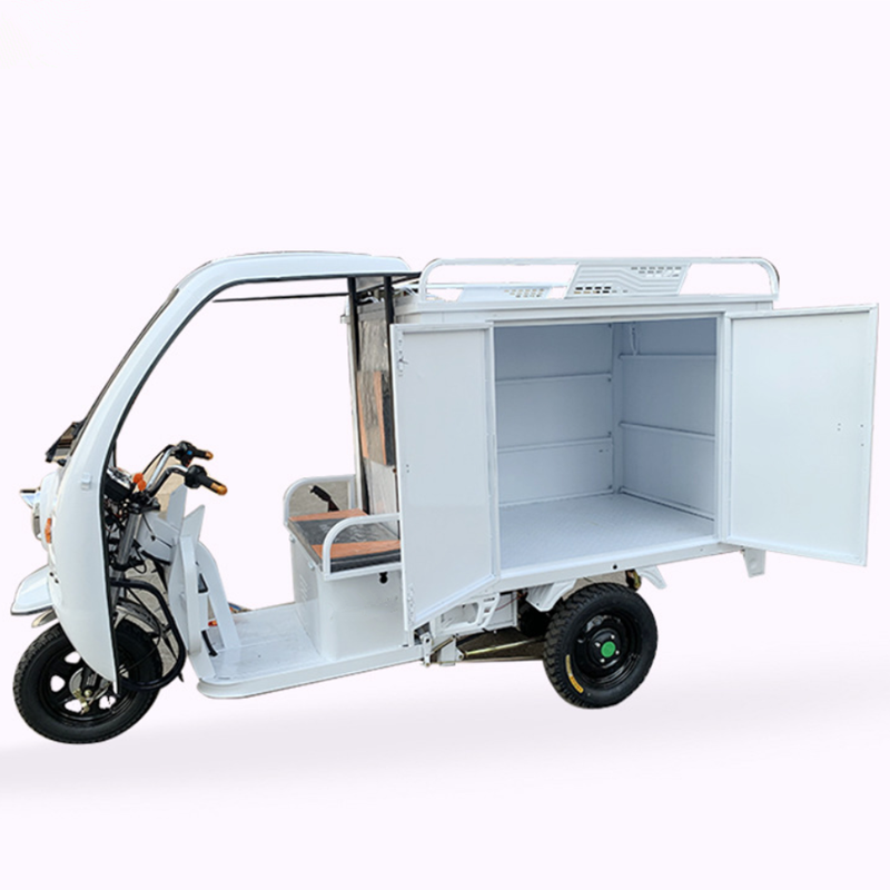 3 Wheel Cargo Electric Scooter
