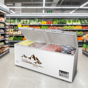 Offre Spéciale petit réfrigérateur congélateur porte coulissante ouverte sur le dessus coffre profond horizontal commercial pour les ménages hôtels Source d'alimentation électrique - Product Image 2