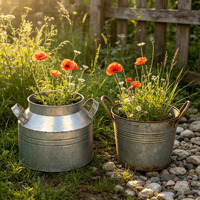 Ensemble de 2 pots à fleurs vintage en métal galvanisé, seau à lait en fer rustique avec poignées pour la décoration du jardin, du patio et de la maison
