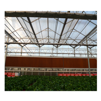 Serre agricole/commerciale pour la plantation de fraises/tomates/cerises/concombres/laitues avec système hydroponique