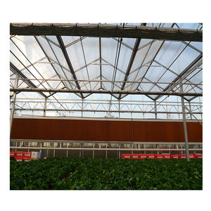 Serre agricole/commerciale pour la plantation de fraises/tomates/cerises/concombres/laitues avec système hydroponique - Product Image 2