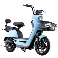 Sepeda Motor Listrik Murah Paige500w untuk Kota, Grosir Sepeda Motor Listrik 350w untuk Wanita Dewasa, Grosir Ebike Becak Kota