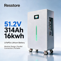 Batterie LiFePO4 16,08 kWh 48 V 314 Ah avec BMS Jikong à équilibrage actif, écran LCD 3,5 pouces, CAN RS232 pour système hors réseau