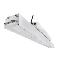 Lampe de culture LED économique, nouvelle lampe LED de toit pour serre, spectre complet, haute PPFD 520W LM301, mince, pour horticulture