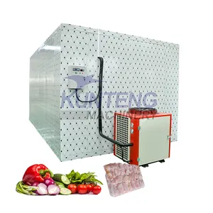 Unità di refrigerazione a parete congelatore cella frigorifera passeggiata in frigo e congelatore attrezzature di magazzino