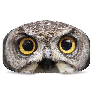 Sac de protection pour lunettes de ski professionnelles American BS, motif dessin animé hibou et ours, avec sangle noire pour lentilles - Product Image 1