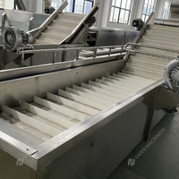Geavanceerde industriële automatische groente- en fruitreinigingsmachine van RVS304 op maat gemaakt