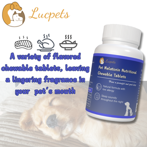 Comprimés à croquer anti-anxiété et induisant le sommeil pour chats et chiens Pet Melatonin Health Care & Supplement Snacks - Product Image 5