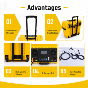 Dispositivo de Terapia de Campo Magnético PEMF para Humanos y Caballos, Máquina de Cuidado de la Salud, Lazo de Estimulación para Alivio del Dolor, Reparación Ósea y Fisioterapia - Product Image 6