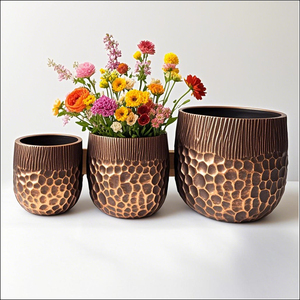 Maceta Minimalista Nórdica, Florero Creativo, Maceta Pequeña para Plantas Acuáticas, Adorno para Balcón y Hogar - Product Image 3