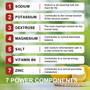 Lifeworth Boisson en poudre électrolytique hydratante riche en <span class=keywords><strong>potassium</strong></span>, minéraux traces, compatible cétogène, apport énergétique pour adultes - Product Image 4