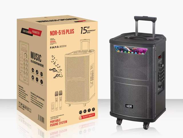 NDR-515 PLUS Professional 15-inch BT Stereo HIFI Wooden Wireless Karaoke Speaker Big Power Bass Trolley Outdoor Computer Use