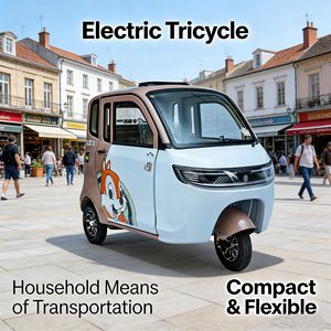 Venta Directa de Fábrica de Triciclos Eléctricos Inteligentes con Carrocería Cerrada para el Transporte de Niños y Ancianos con Fines de Transporte Diario - Product Image 3