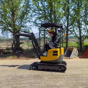 Miniexcavadora de 2.2 Toneladas con Motor Yanmar, Sistema Hidráulico Hengli, para Construcción de Muros de Contención, 1 Año de Garantía, Personalizable - Product Image 1