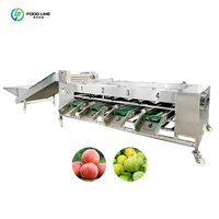 Automatische Fruit-En Groentekersenui Bosbessen Optische Sorteermachine