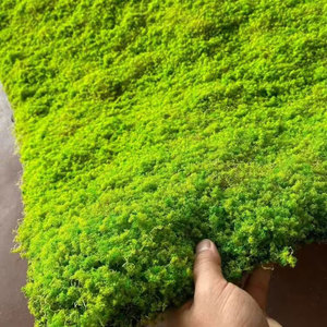 Tapis de mousse en plastique pour gazon artificiel vert, plantes réalistes vernies aux UV, mur de jardin, sol de paysage - Product Image 1