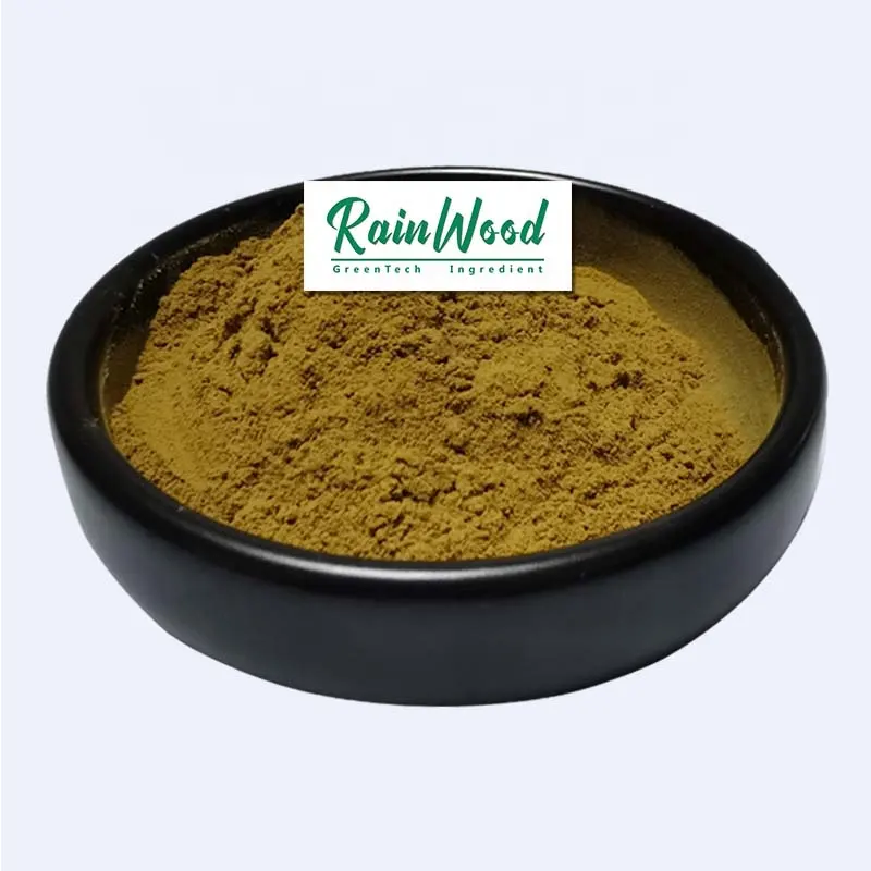 Rainwood supply Oolong Tea Powder Extract Polyphenols 20%-70% High quality Oolong Tea Powder with bulk price and free sample