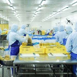 Meisei alimenti In scatola esili <span class=keywords><strong>germogli</strong></span> di bambù dalla Cina a prezzo all'ingrosso - Product Image 3