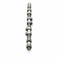 Camshaft Intake Lada 2112 3331 untuk Mesin Lada Rusia, Suku Cadang Otomotif Rangkaian Katup Pengatur Waktu