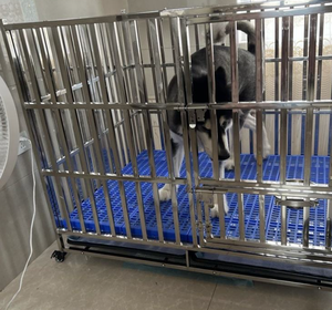 Toptan paslanmaz çelik katlanabilir köpek kafesi büyük köpek kulübesi taşıma çevre dostu kolayca monte sandık köpekler için - Product Image 2