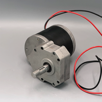 Motor DC Brushless 12V 24V 600W dengan poros 18mm untuk Mesin Pemotong Rumput, Motor Pemangkas Rumput Listrik Torsi Tinggi