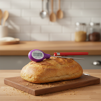 Thermomètre de cuisine numérique haute précision en acier inoxydable IP64 étanche USB OEM ODM pour barbecue extérieur et pâtisserie, avec champ de vision de 180°