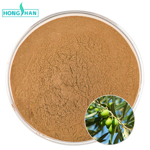 Cấp thực phẩm ô liu lá chiết xuất 5% 10% 20% 25% 40% ô liu lá chiết xuất hydroxytyrosol bột - Product Image 1