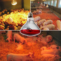 Lampe chauffante infrarouge halogène étanche 100W~300W pour élevages de poulets et de porcs, chauffage infrarouge pour animaux