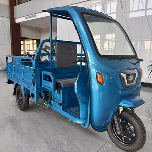Tricycle semi-fermé pour adultes 1000W 48V pour usage urbain - Product Image 1