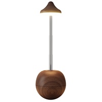 Lampe rechargeable avec télécommande à changement de couleur RGB, veilleuse, lumière d'ambiance, lumière décorative en forme de gourde