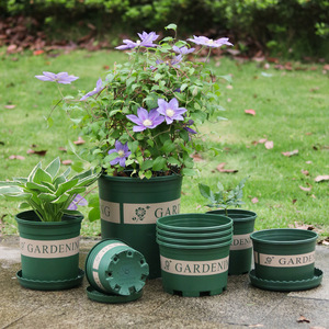 Macetas de Plástico Verdes para Plantas, Flores y Suculentas en el Jardín - Product Image 3