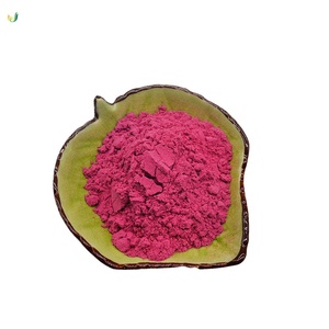 Extracto Puro de Arándano al 98% en Polvo - Extracto Natural de Corteza de Arándano de Grado Alimenticio para Infecciones Urinarias e Inmunidad - Venta al por Mayor OEM a Granel - Product Image 2