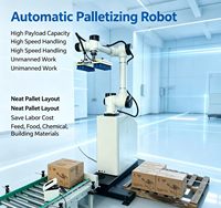 Robot de Paletización Colaborativo de Alta Estabilidad, Disponible en Stock, para Trabajos de Paletización de Cartones