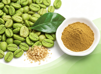 Extrait de Grains de Café Vert 45 % Acide Chlorogénique Poudre de Coffea Arabica Testé HPLC Matière Première Nutraceutique en Gros Certifiée GMP OEM