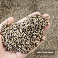 Extrait de graines de chardon-marie pur de haute qualité, sans pollution, en poudre de fleurs végétales cultivées artisanalement, pour la protection hépatique