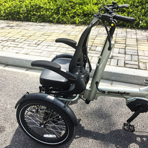 Triciclo Eléctrico de 25 km/h con Motor Central de 48V 250W, Capacidad de Carga de 100-200 kg, Cuadro de Aleación y <span class=keywords><strong>Desviador</strong></span> Hidráulico, Cumple con las Leyes de la UE - Product Image 4