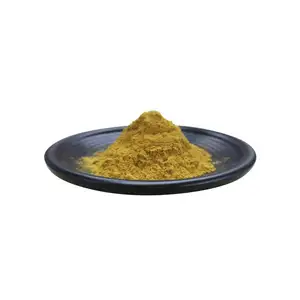 Ginkgo-extracto de hoja de Biloba, extracto en polvo de flavonas, 24% Lactones, 6% de hoja de jengibre, suministro de fábrica