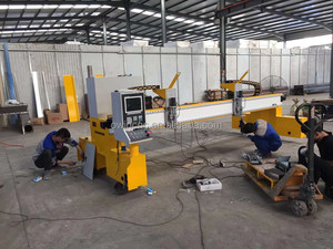 Jinan owin cnc-máquina <span class=keywords><strong>de</strong></span> corte <span class=keywords><strong>de</strong></span> plasma y llama, dos cabezales, 2060, 3080 - Product Image 6