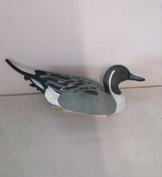 Leurre de Canard de Chasse d'Extérieur de Haute Qualité, Leurres de Simulation de Chasse