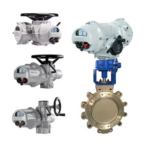 Actuadores de Motor Universales Serie Rotork IQ3/IQM3 con Voltaje CC/CA para Sistemas de Automatización de Petróleo y Gas - Product Image 5