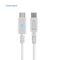 Cable de Carga para Control de WiiU PAD a USB Tipo C, Blanco, 1.2m