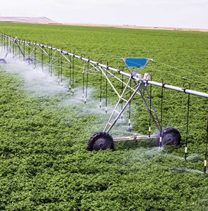 Système d'irrigation à pivot central en métal personnalisé Daringfish avec pompe et moteur à engrenages pour les grandes exploitations - Product Image 4