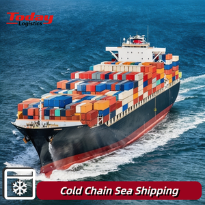 Transporte Marítimo Estable + Distribución de Productos con Temperatura Controlada, Monitoreo de Cadena de Frío Completa, Reino Unido, Polonia, Austria - Product Image 1