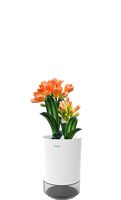 Mini purificateur d'air d'intérieur innovant, au design moderne, avec des tasses de croissance de plantes en forme de fleur de bureau créatives