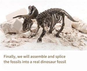 Kits <span class=keywords><strong>de</strong></span> Excavación <span class=keywords><strong>de</strong></span> Fósiles <span class=keywords><strong>de</strong></span> Dinosaurios, Educación Arqueológica, Exquisito <span class=keywords><strong>Juego</strong></span> <span class=keywords><strong>de</strong></span> Juguetes Jurásicos, Figura <span class=keywords><strong>de</strong></span> Acción para Niños, Modelo <span class=keywords><strong>de</strong></span> Esqueleto, Regalo - Product Image 6